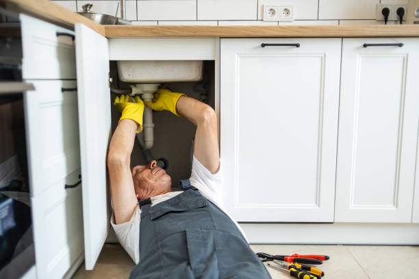 Best Residential Plumbing Services  in Prairie Grove, IL